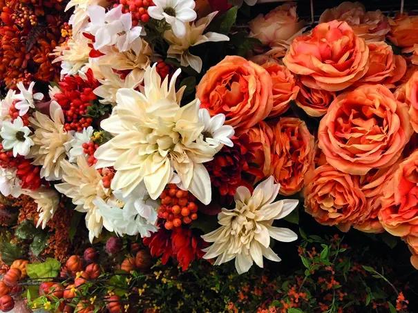 Herfstbloemen brengen kleur in huis.